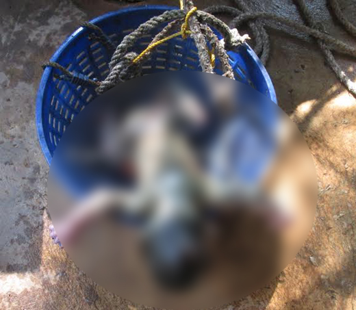 New born baby found  in well  2